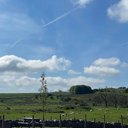 Кемпинг District Luxury *